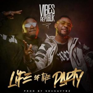 Vibes Republik - Life Of The Party Mp3 Download