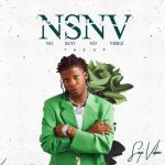 Seyi Vibez - NSNV (No Seyi No Vibe) Album Download