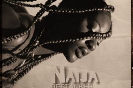 DJ Duncan – Naija Best Vibes Mixtape
