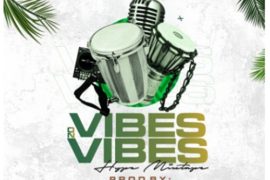 Dj 2cute – Vibes on Vibes Hype (Mix) ft. Hypeman Slimzy & Kelvin Drums