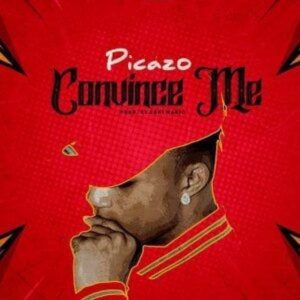 Picazo - Convince Me