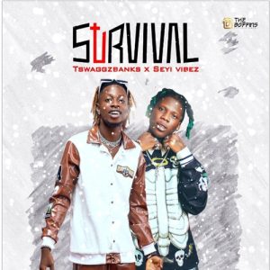 Tswaggz Banks ft. Seyi Vibez - Survival