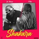 Ice Prince ft. CKay - Shakara