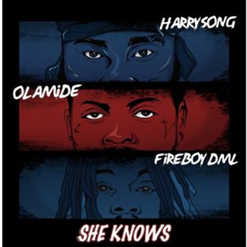 Harrysong ft. Olamide & Fireboy DML - She Knows