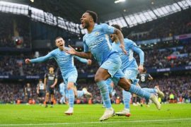 EPL: Manchester City vs Wolves 1-0 Highlights (Download Video)
