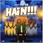 Small Doctor - Hain Mp3 Download