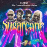 Camidoh ft. King Promise, Mayorkun, Darkoo - Sugarcane (Remix)