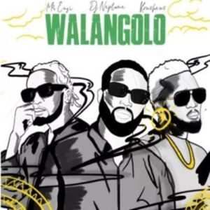 DJ Neptune ft. Mr Eazi & Koshens - Walangolo