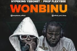 Hypeking Yebonet x Prof Flexybee – Wonbinu