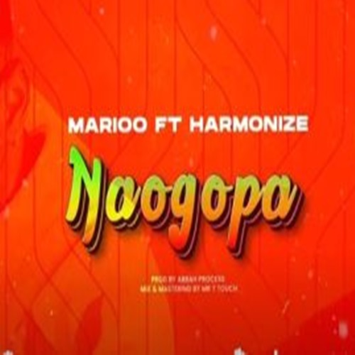  Marioo ft. Harmonize - Naogopa