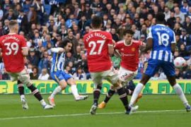 Brighton vs Manchester United 4-0 Highlights (Download Video)