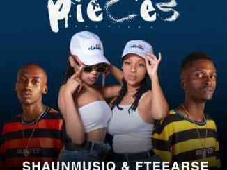 ShaunMusiQ & F teearse - 10 Pieces ft. c