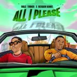 Wale Turner ft. Reekado Banks - All I Please