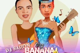 DJ Baron – My Banana Mixtape