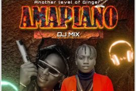 Dj Real Ice – Another Level Of Ginger 2 Mix (Amapiano DJ Mixtape)