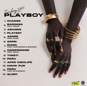 Fireboy DML - Change