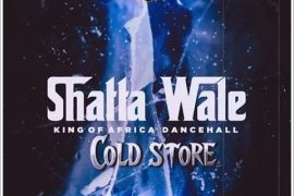 Shatta Wale – Cold Store