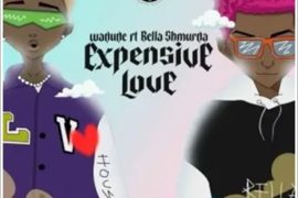 Wadude ft. Bella Shmurda – Expensive Love