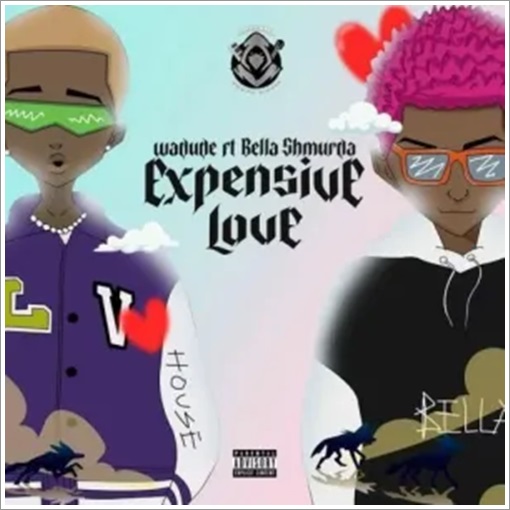 Wadude ft. Bella Shmurda - Expensive Love