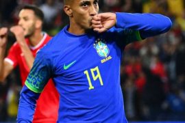 Brazil vs Tunisia 5-1 Highlights (Download Video)