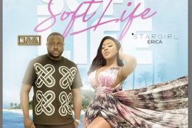 DJ Java Ft. Stargirl Erica – Soft Life