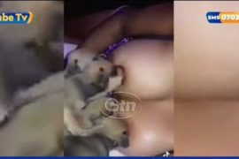 Viral Video Kenyan Woman Breastfeeding Dogs in Saudi Arabia (FULL VIDEO)