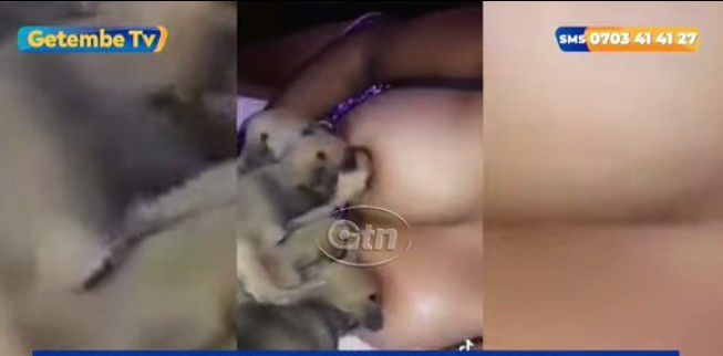 Viral Video Kenyan Woman Breastfeeding Dogs in Saudi Arabia (FULL VIDEO) -  Wiseloaded