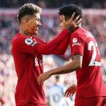 Liverpool vs Brighton & Hove Albion Highlights