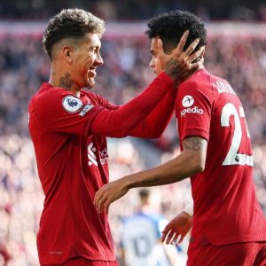 Liverpool vs Brighton & Hove Albion Highlights