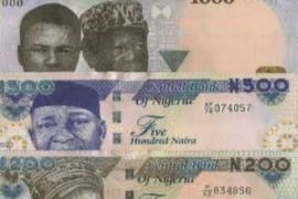 New Naira Notes: Nigerians, Beware Of Emefiele Gimmicks, Mediocrity, Perfidy At Play