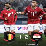 Belgium vs Egypt Highlights