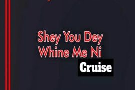 DJ YK Mule – Shey You Dey Whine Me Ni Cruise