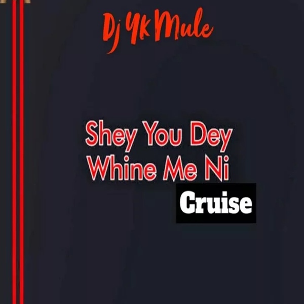 DJ YK Mule - Shey You Dey Whine Me Ni