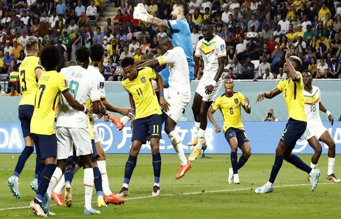 Ecuador vs Senegal Highlights