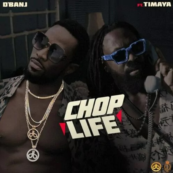 D'banj ft. Timaya - Chop Life
