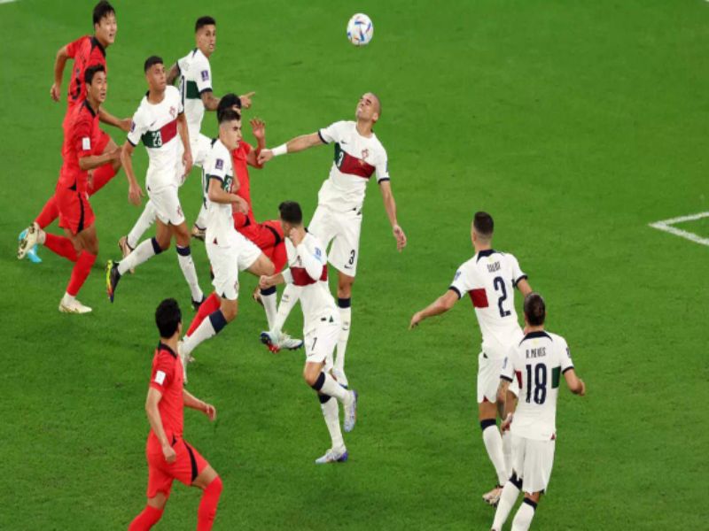 South Korea vs Portugal Highlights