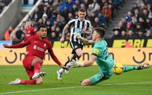 Newcastle vs Liverpool Highlights