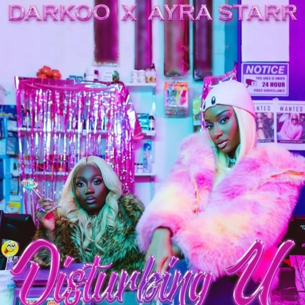 Darkoo ft. Ayra Starr – Disturbing U