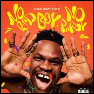 Bad Boy Timz - No Bad Boy No Party Album Cover Art