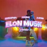 Shallipopi, Zlatan, Fireboy DML - Elon Musk (Remix)