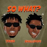 Tekno - So What? ft. Shallipopi