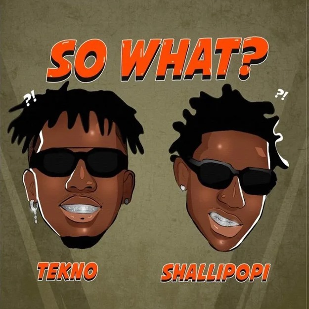 Tekno – So What? ft. Shallipopi