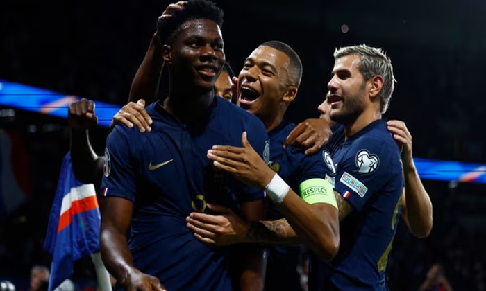 France vs Ireland 2-0 Highlights (Download Video)