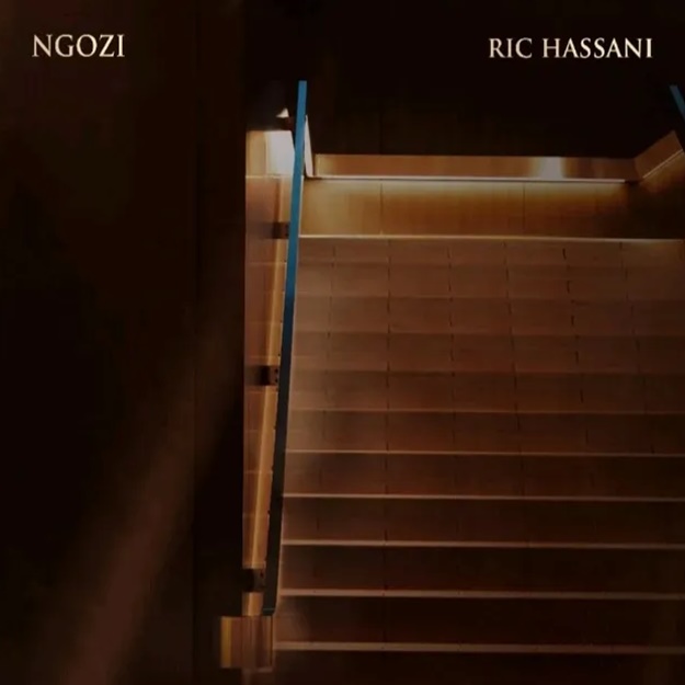 Ric Hassani – Ngozi