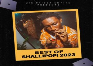 DJ Gambit - Best Of Shallipopi Songs Mixtape & 2023 DJ Mix