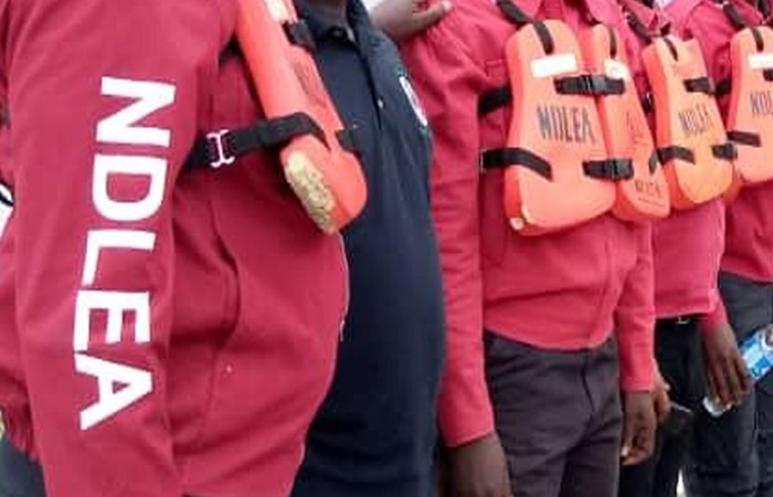 NDLEA Seizes 1,458.709kgs of Illicit Substances, Arrests 103 Suspects in Kaduna