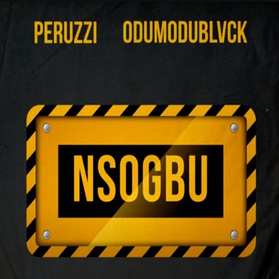 Peruzzi ft. Odumodublvck – Nsogbu