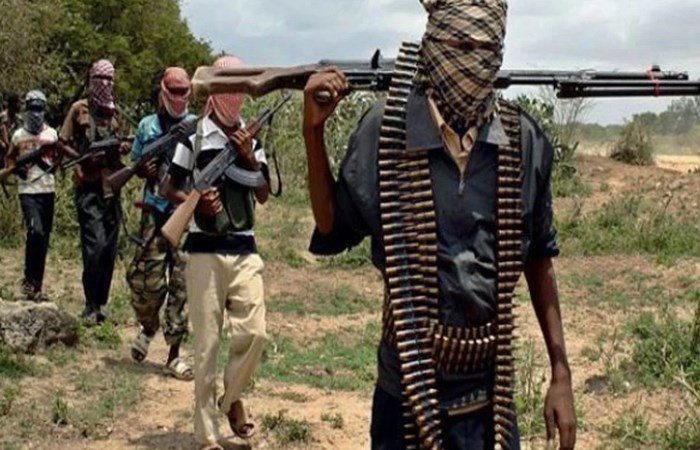 Tension in Schools as Terrorists Kidnap Over 800 in One Week, Kill Scores