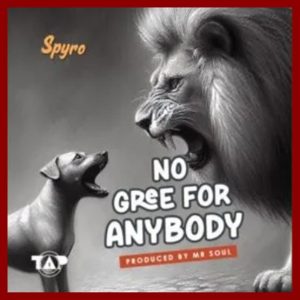 Spyro - No Gree For Anybody (NGFA)