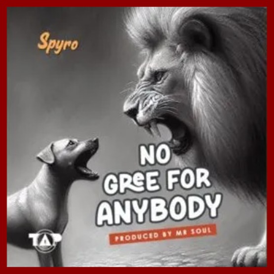 Spyro – No Gree For Anybody (NGFA)